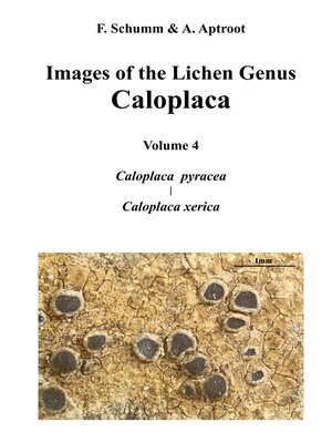 cover image of Images of the Lichen Genus Caloplaca, Vol4